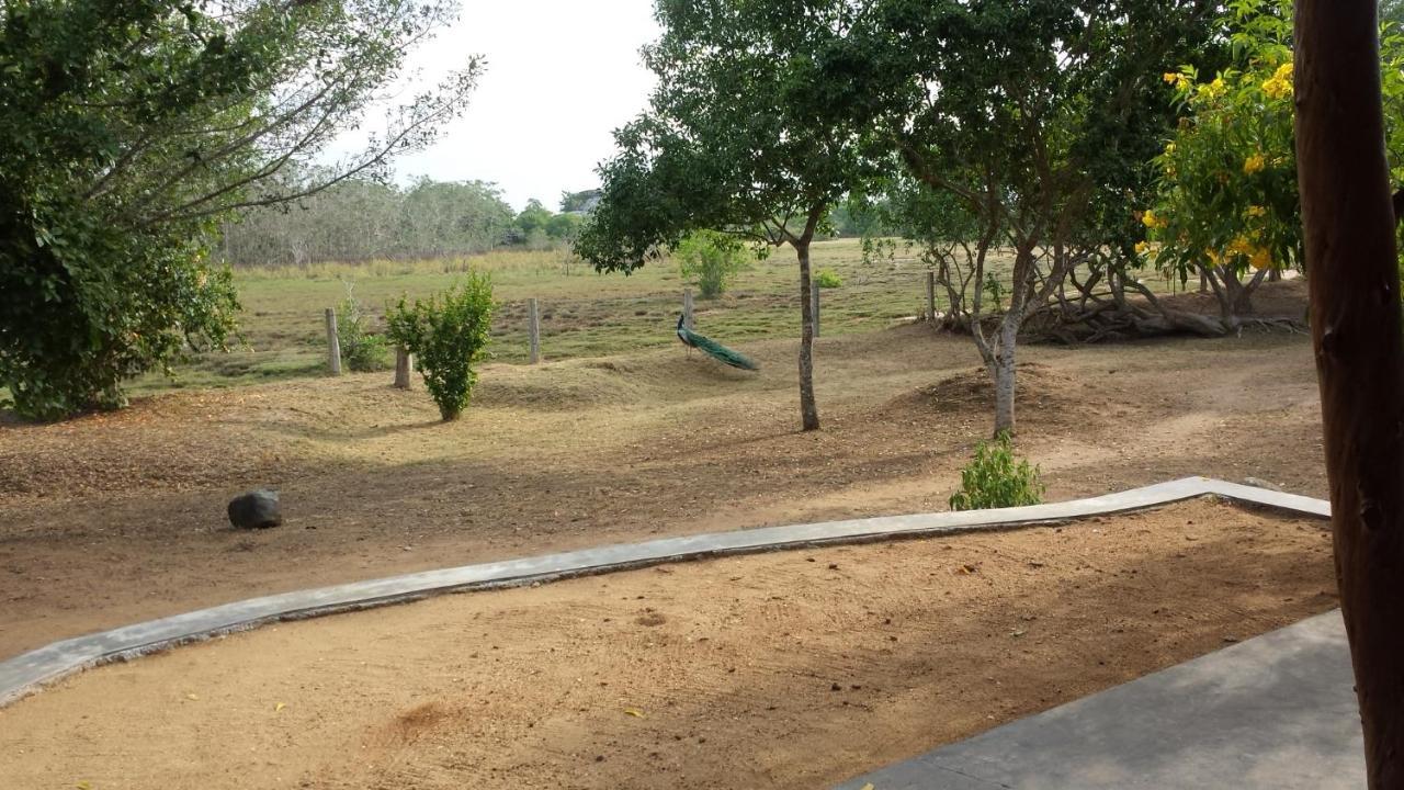 Taragala Chalets Kalametiya Bagian luar foto